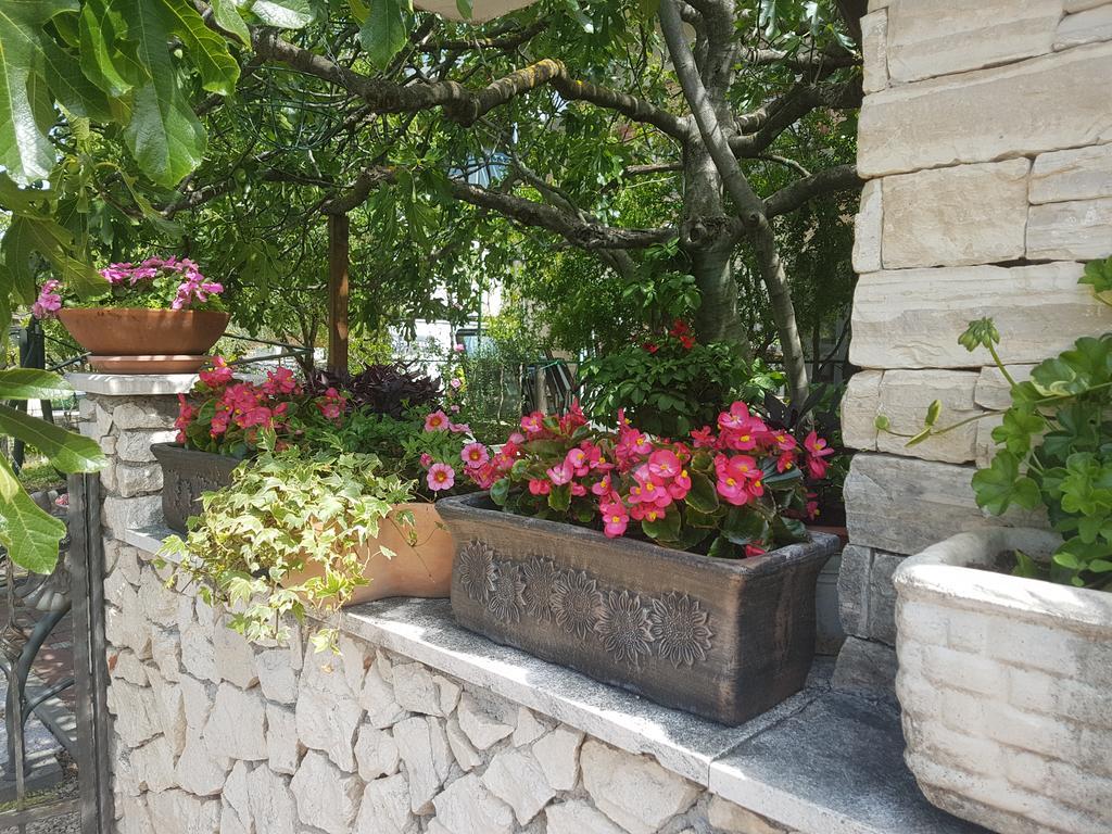 Apartment Adis Šibenik Exteriér fotografie