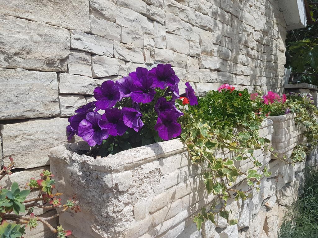 Apartment Adis Šibenik Exteriér fotografie